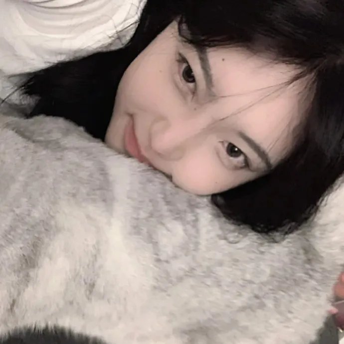 特洛伊艾迪